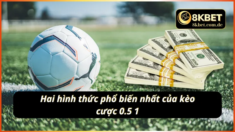 Bật mí 2 hình thức phổ biến nhất của kèo 0.5 1