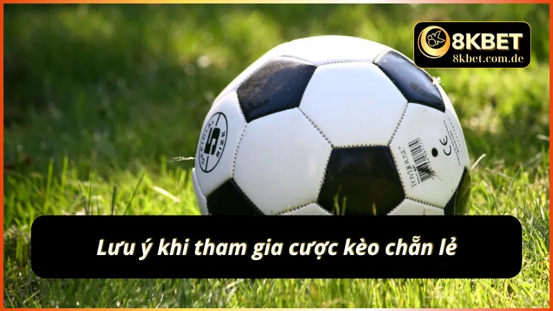 Lưu ý quan trọng trước khi đặt cược kèo chẵn lẻ