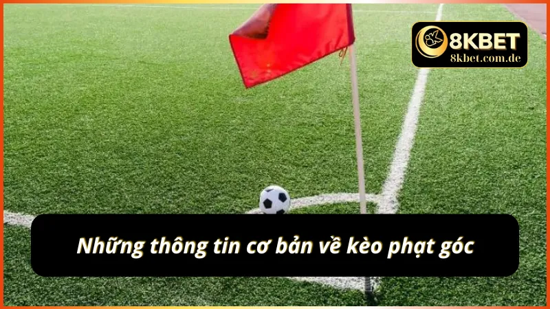 Thông tin cần nắm về kèo phạt góc cho tân thủ
