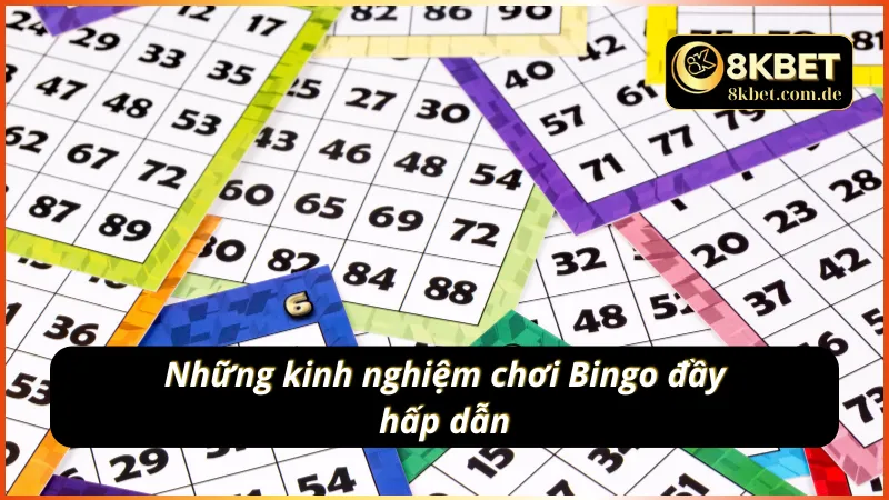 Những kinh nghiệm chơi Bingo đầy hấp dẫn