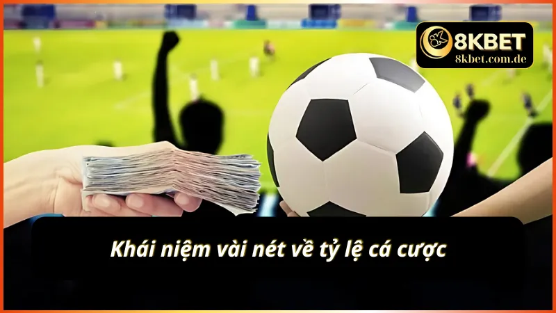 Khám phá ngay các tỷ lệ cá độ đơn giản