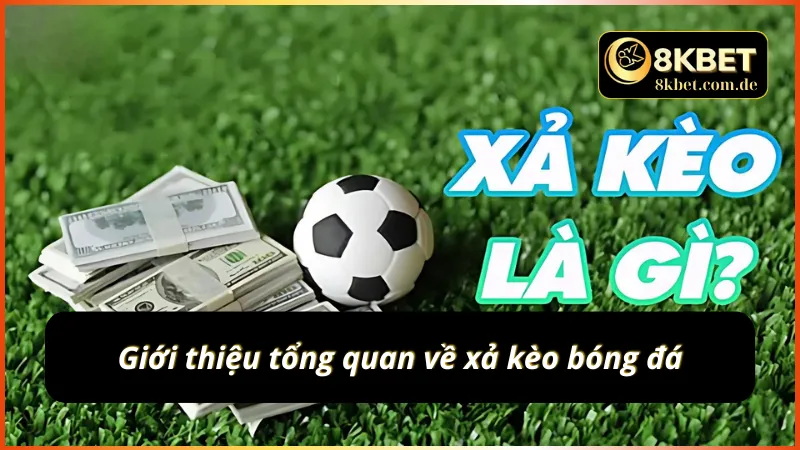 Giới thiệu tổng quan về xả kèo bóng đá