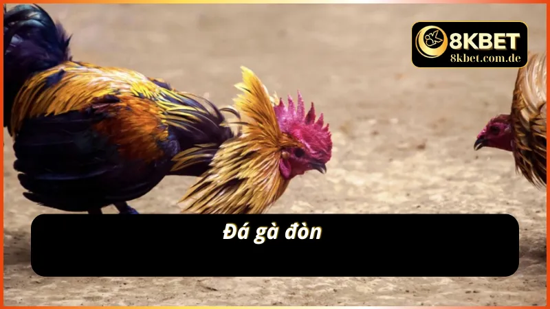 Phiên bản AOG đá gà thu nhiều nhiều cược thủ tham gia