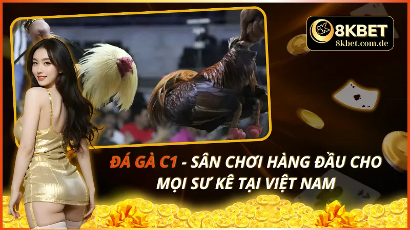 Đá Gà C1