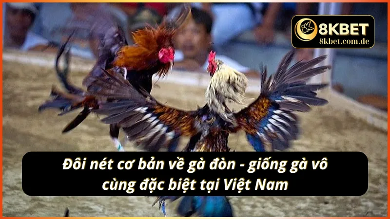 Đôi nét sơ lược về đá gà đòn