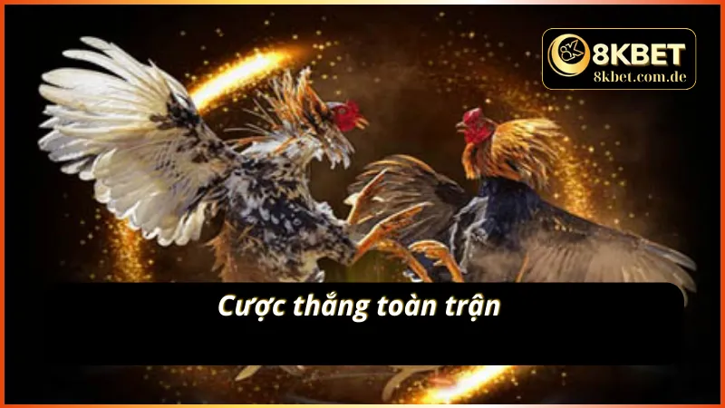 Hình thức kèo cược phổ biến nhất trên sảnh cược đá gà live 8KBET