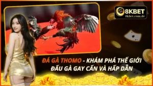 Đá Gà Thomo