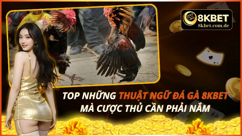 Thuật Ngữ Đá Gà 8KBET